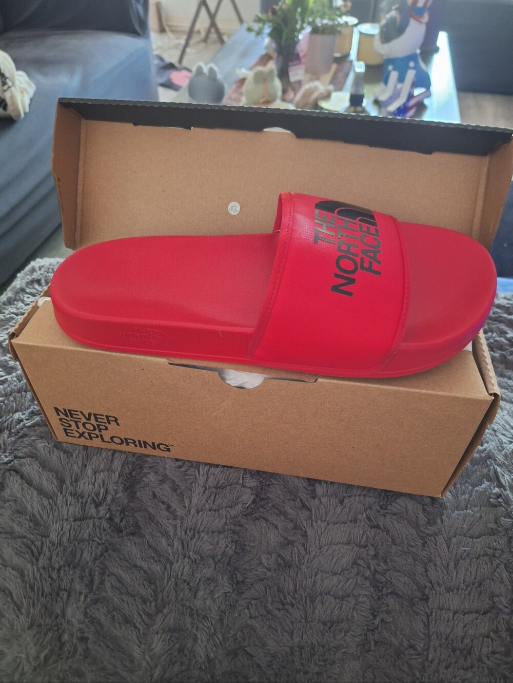 The North Face Red Slide Sandals with Black Logo